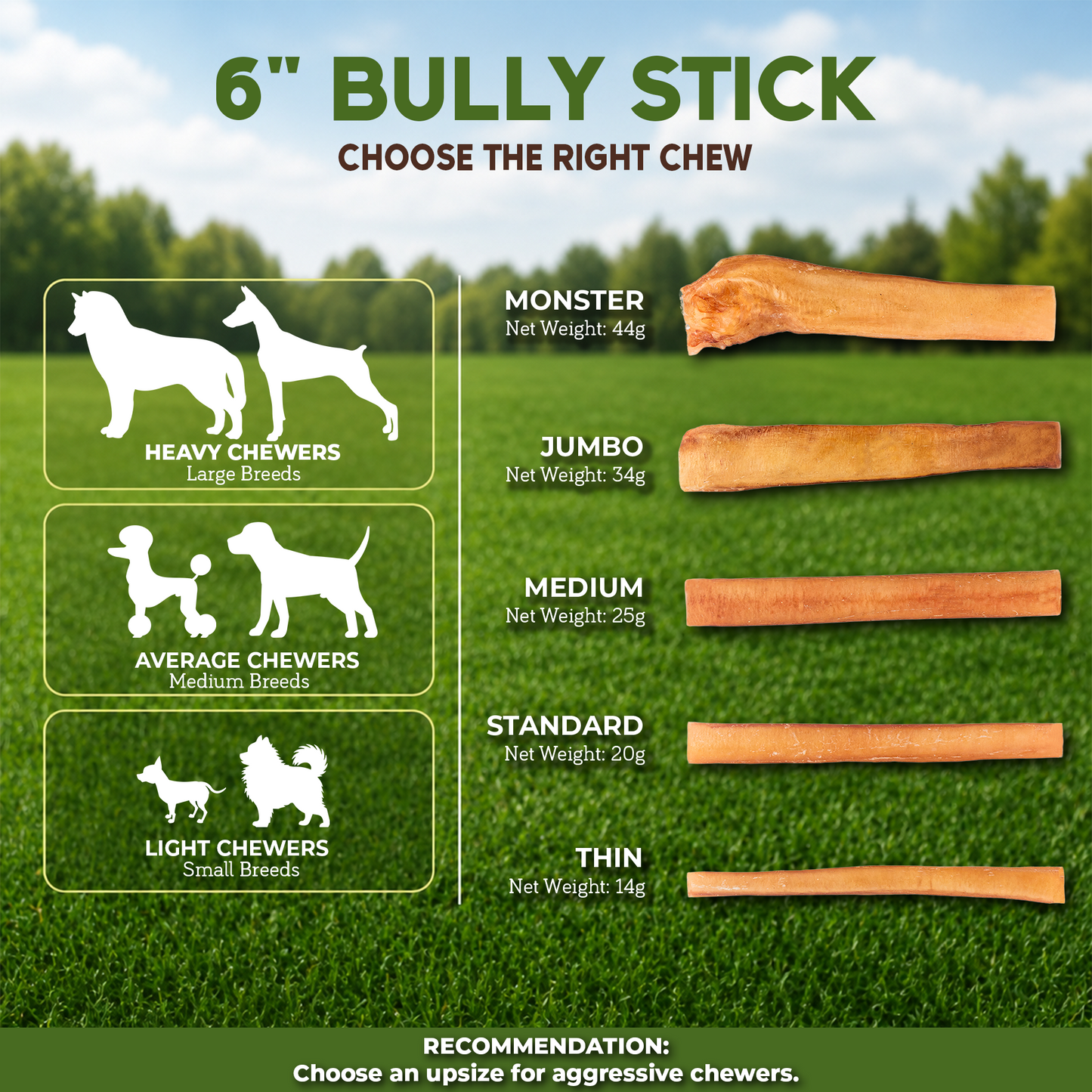 6" Bully Stick Thin