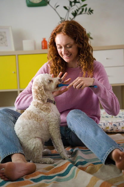 BiteBlock - Toothbrushing Assistant