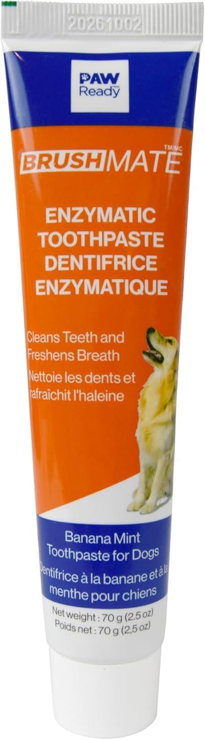 Pretty Toothpaste Enzymatic Toothpaste - Banana Mint – Pretty Paws Pets Salon LLC
