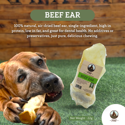 Beef Ear
