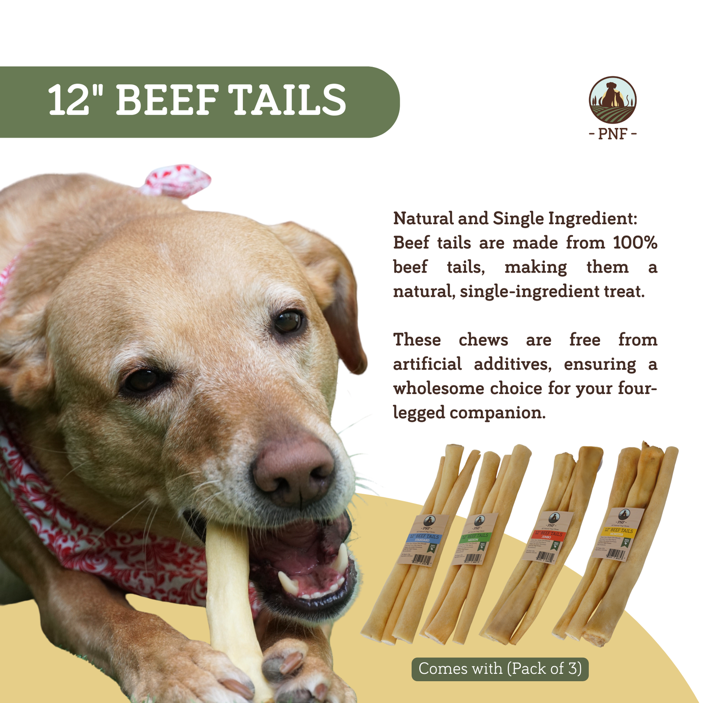 12" Beef Tails Medium