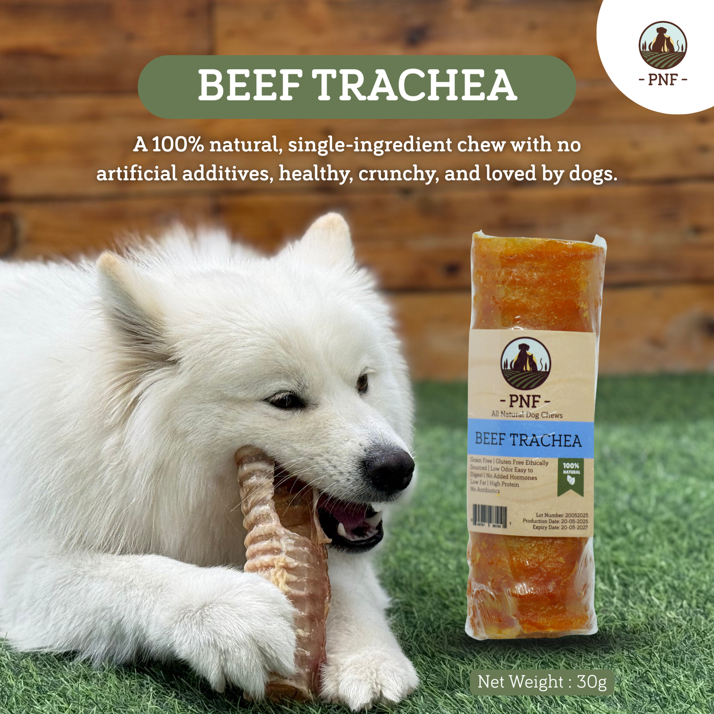Beef Trachea
