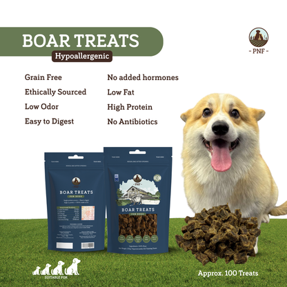 Boar Training Treats 100g