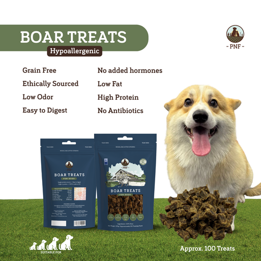 Boar Training Treats 100g