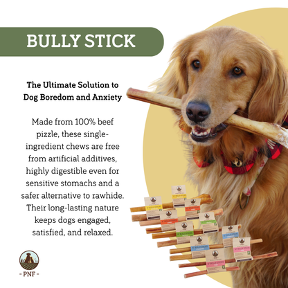12" Bully Stick Standard