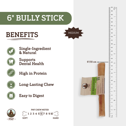 6" Bully Stick Medium