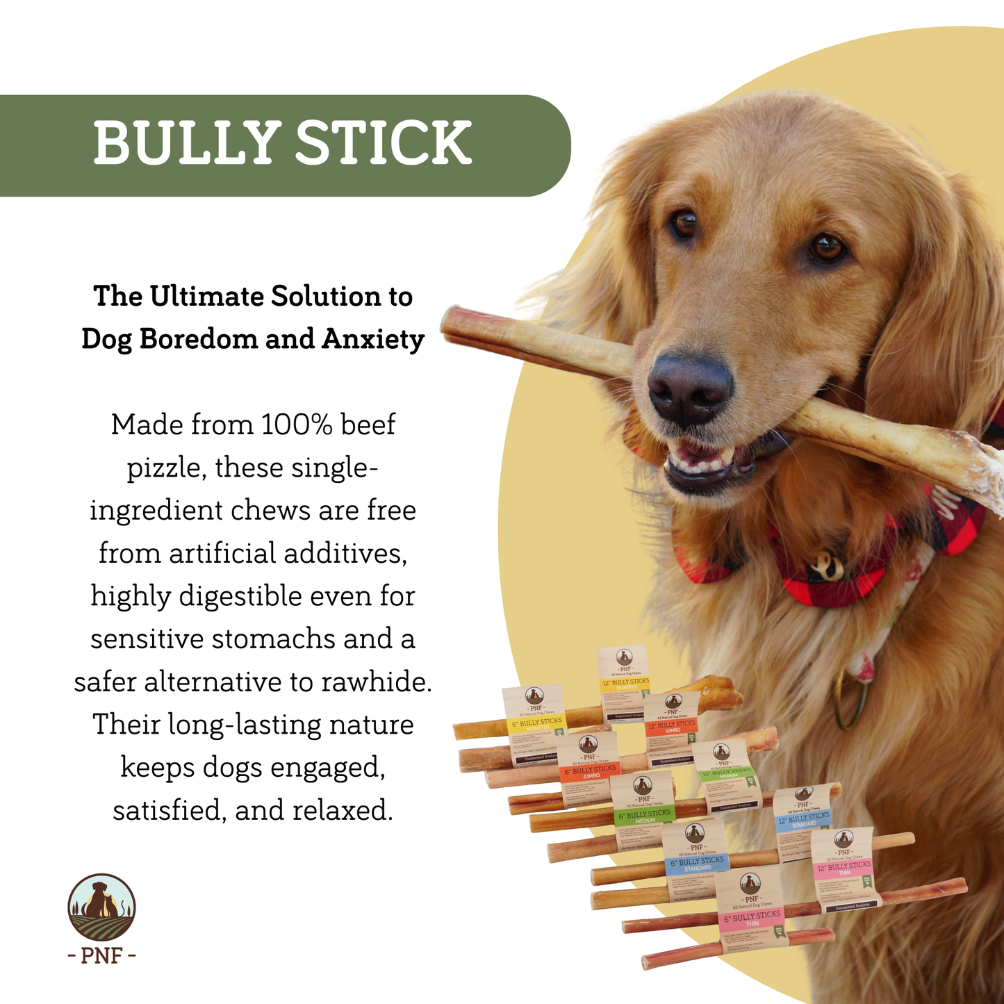 12" Bully Stick Medium