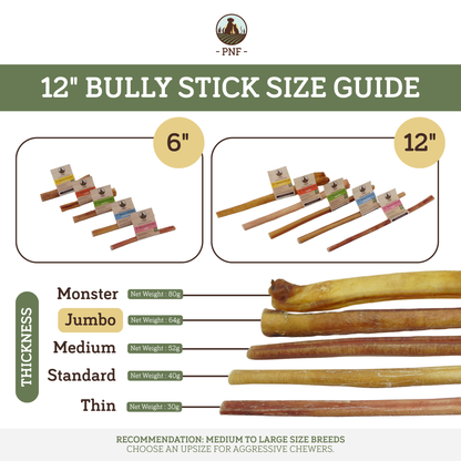 12" Bully Stick Jumbo