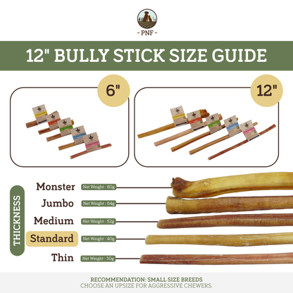 12" Bully Stick Standard