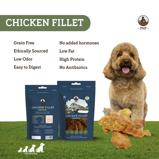 Chicken Fillet 100g