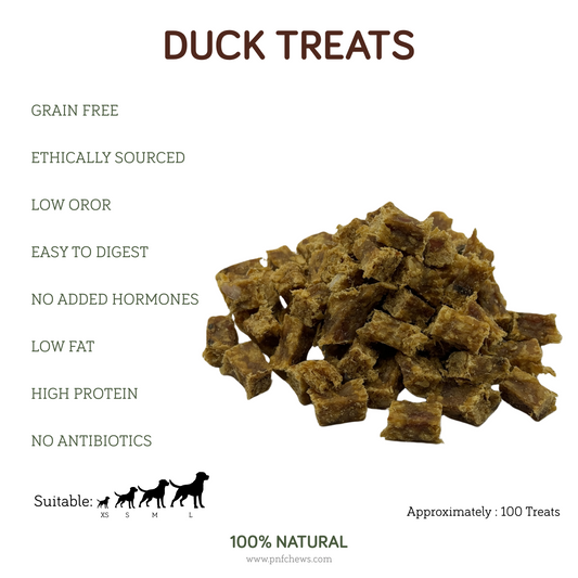 Duck Treats 100g