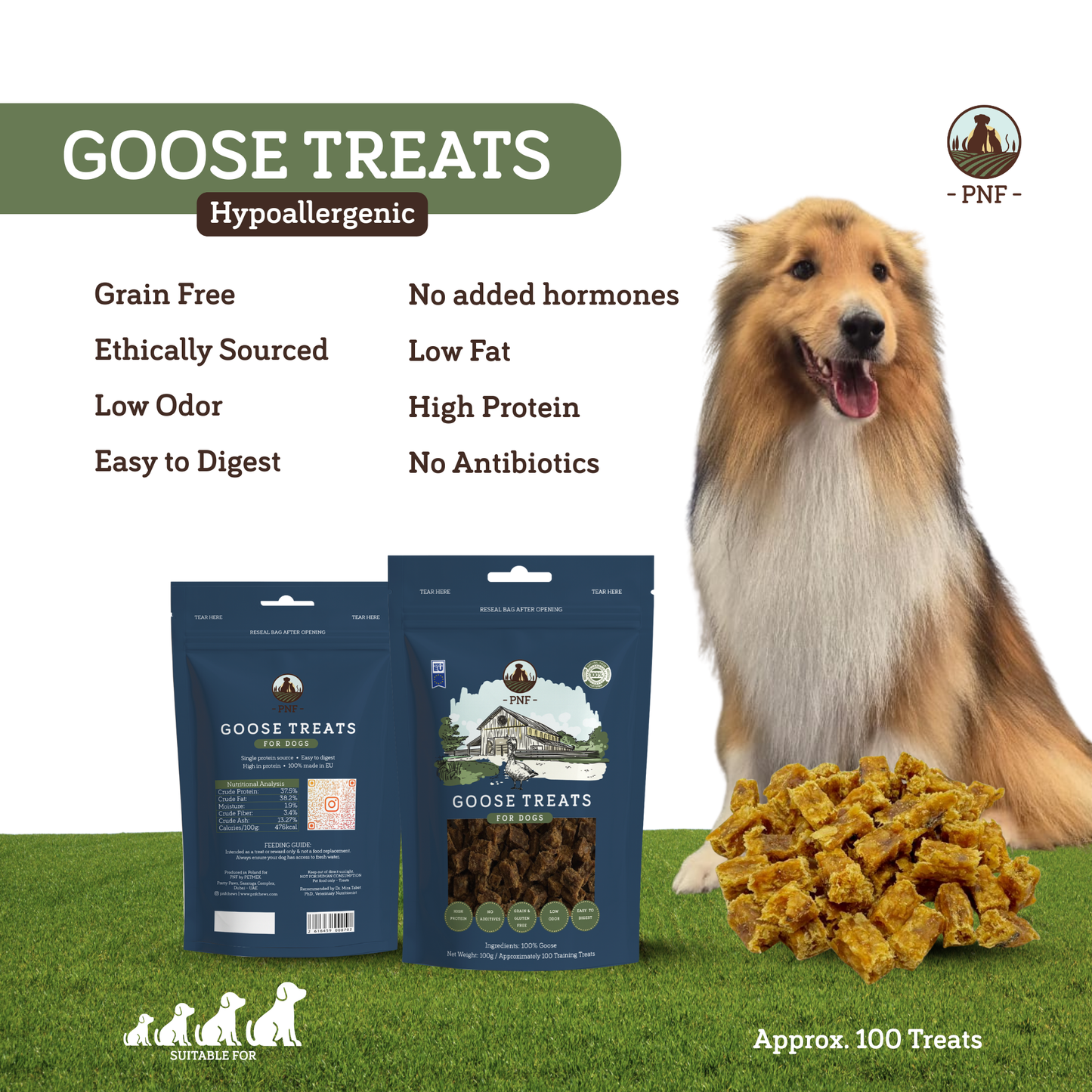 Goose Training Treats 100g
