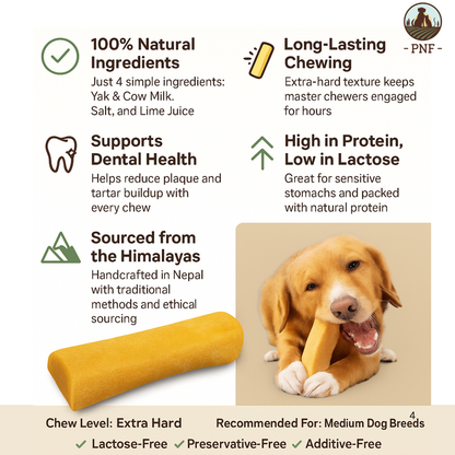 Himalayan Chew Large