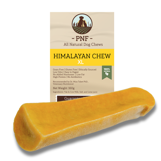 Himalayan Chew XL