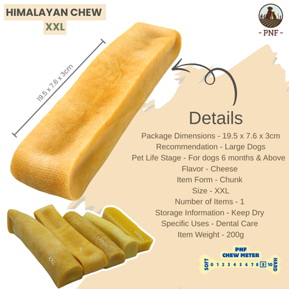 Himalayan Chew XXL