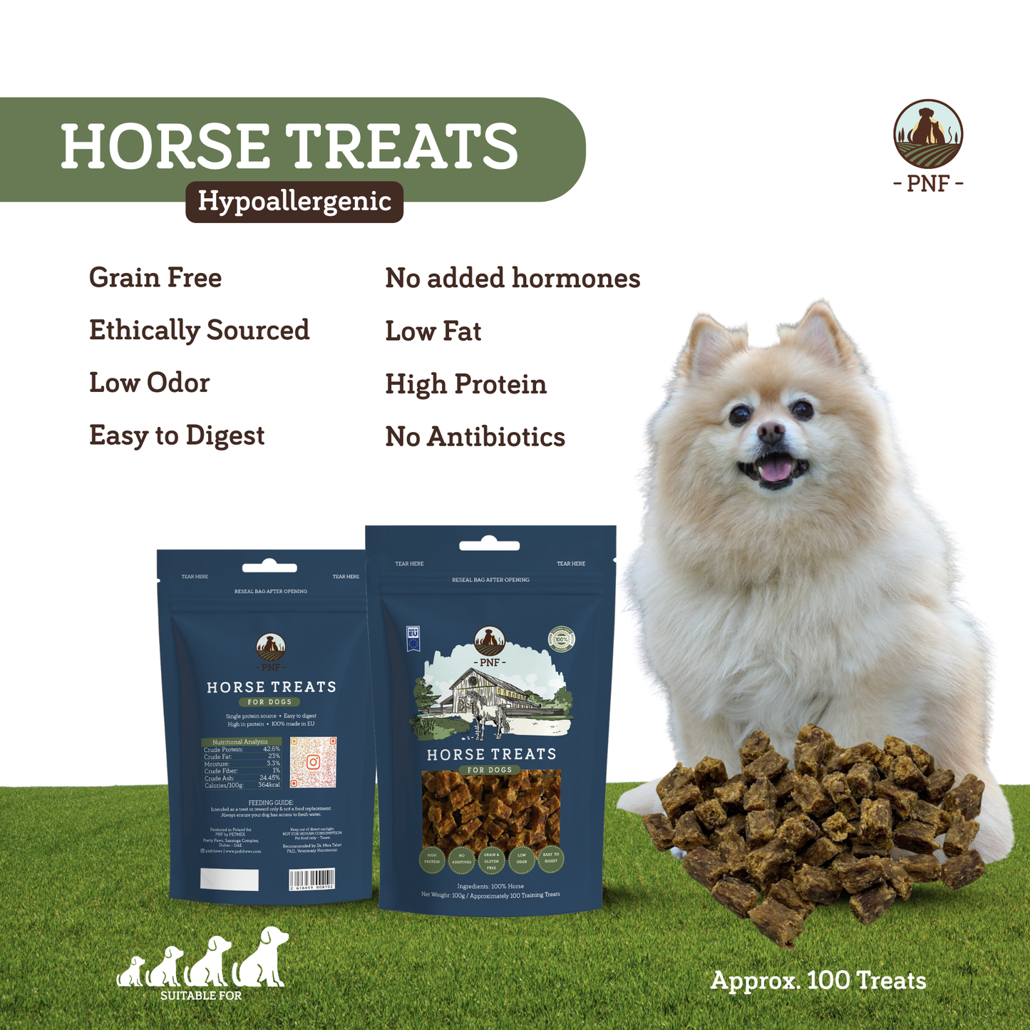 Horse Training Treats 100g