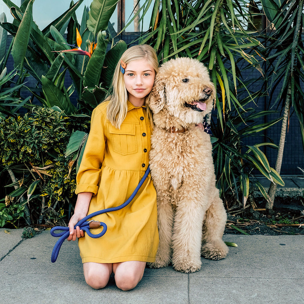 Mod Essential Leash - Navy by ZippyPaws