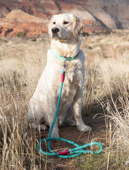 Mod Essential Leash - Teal by ZippyPaws