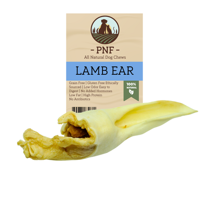 Lamb Ear