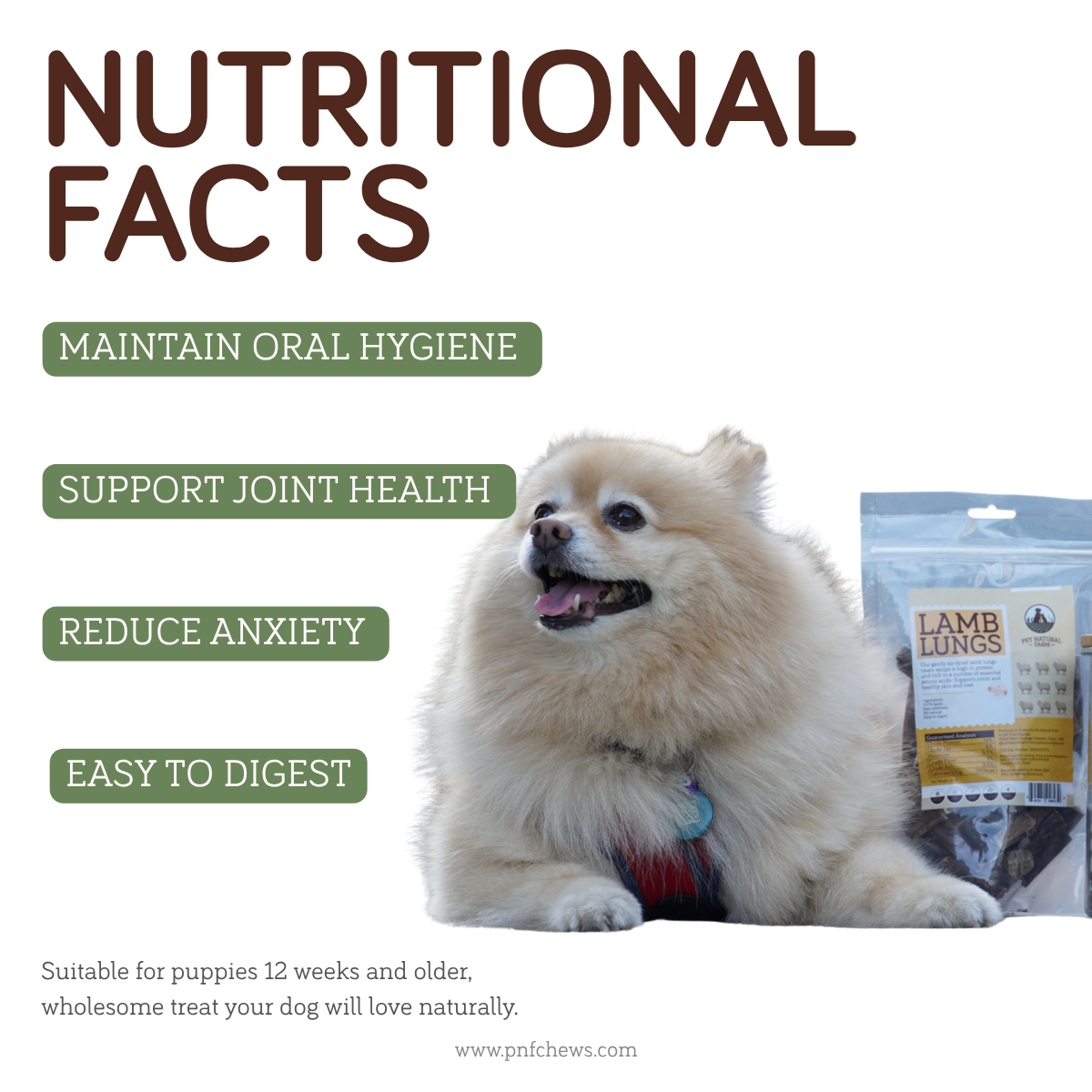 Lamb Lungs Treats 100g