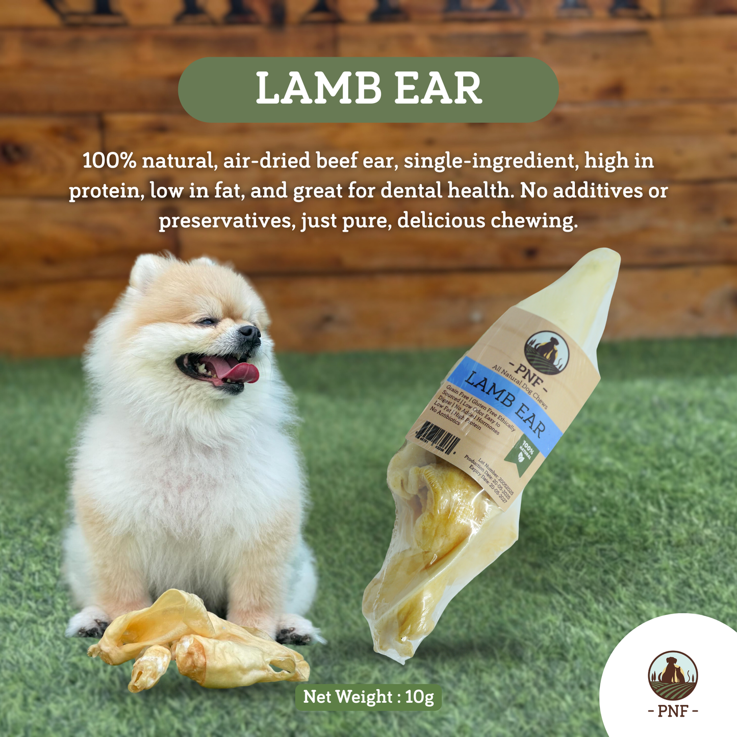 Lamb Ear