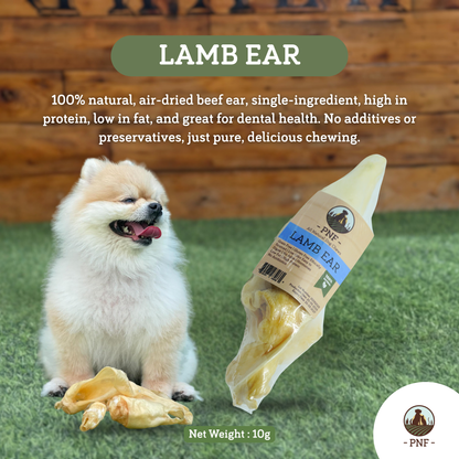 Lamb Ear