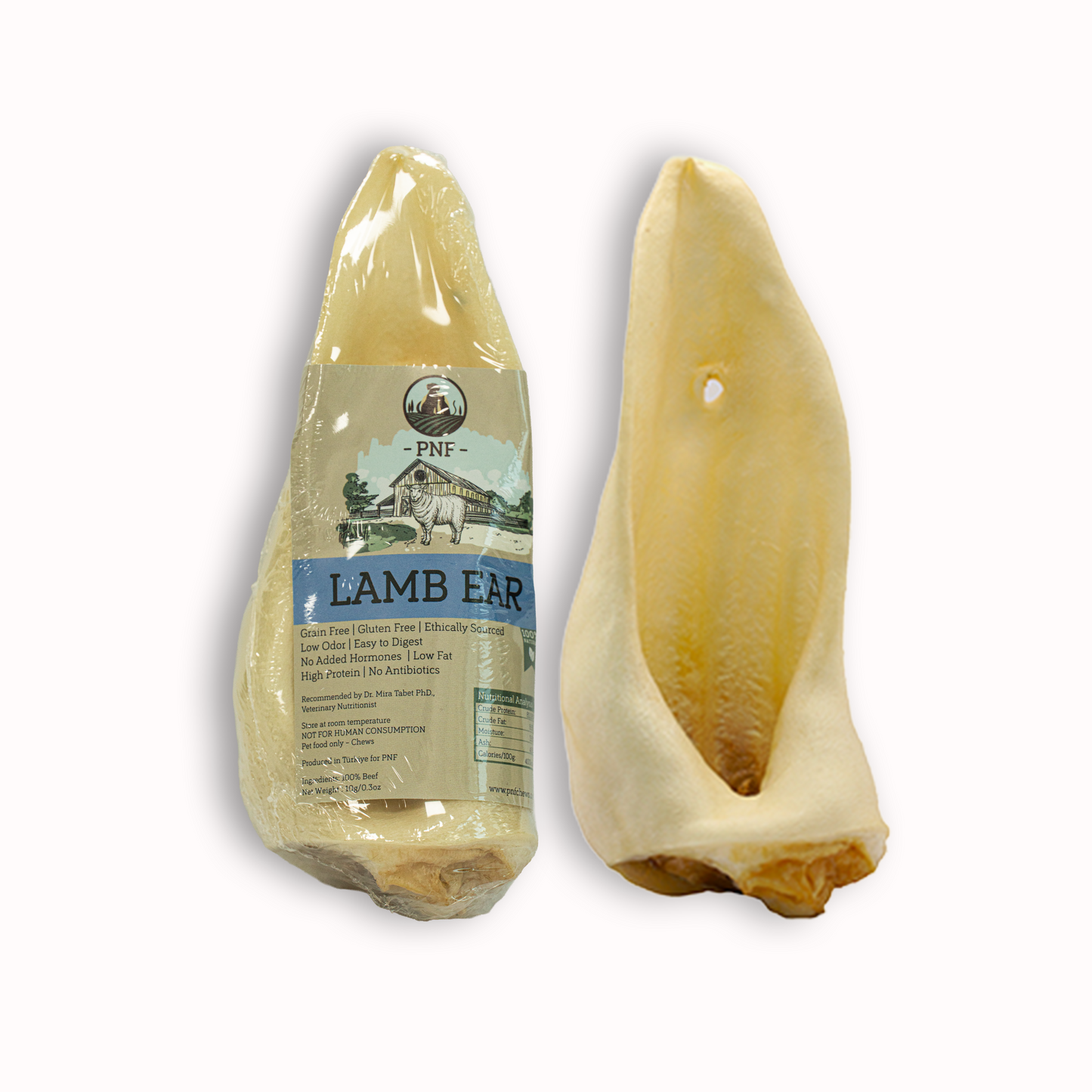 Lamb Ear