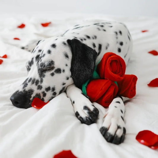 ZippyPaws Bouquet of Roses
