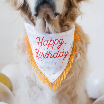 Birthday Bandana and Bone 2-Pack by ZippyPaws