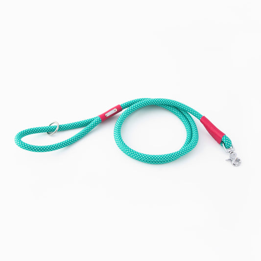 Mod Essential Leash - Teal by ZippyPaws