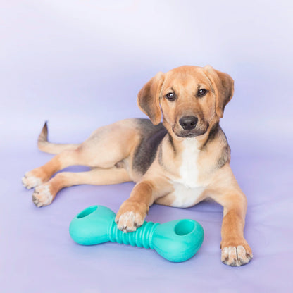 ZippyTuff Squeaker Dumbell