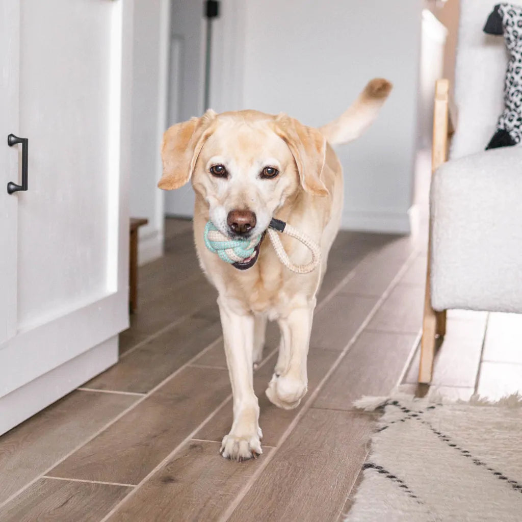 ZippyPaws Cotton & Jute Ball