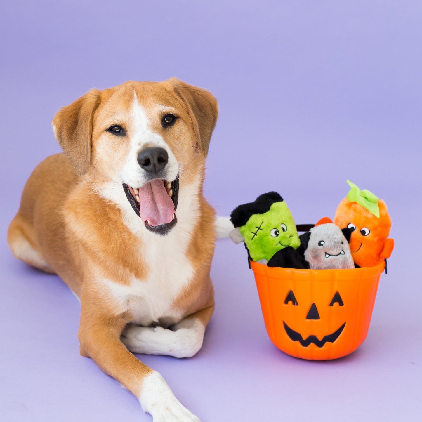 Halloween Squeakie Buddie 3-Pack by ZippyPaws