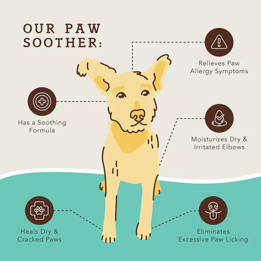 Natural Dog Company Paw Soother Stick - 2 Oz