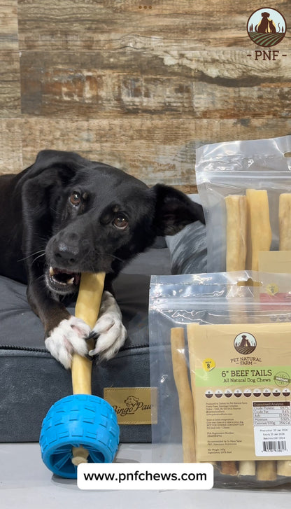 6" Beef Tails Medium