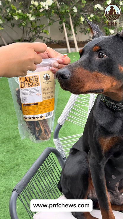 Lamb Lungs Treats 100g