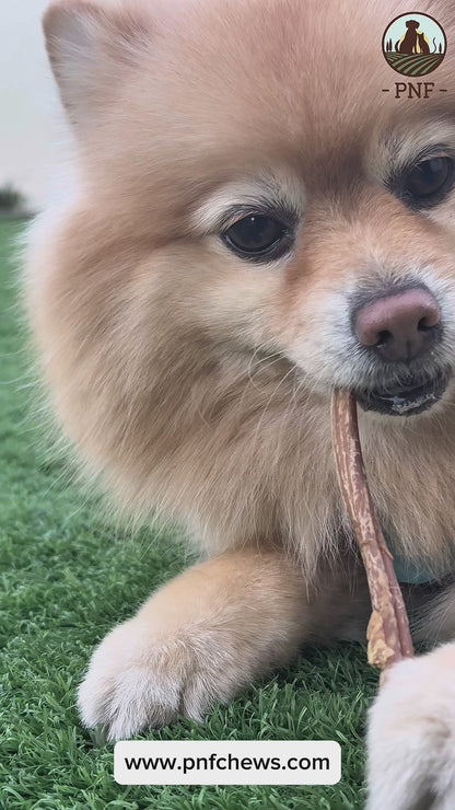 Lamb Sticks (Lamb Pizzle) 300g Pack